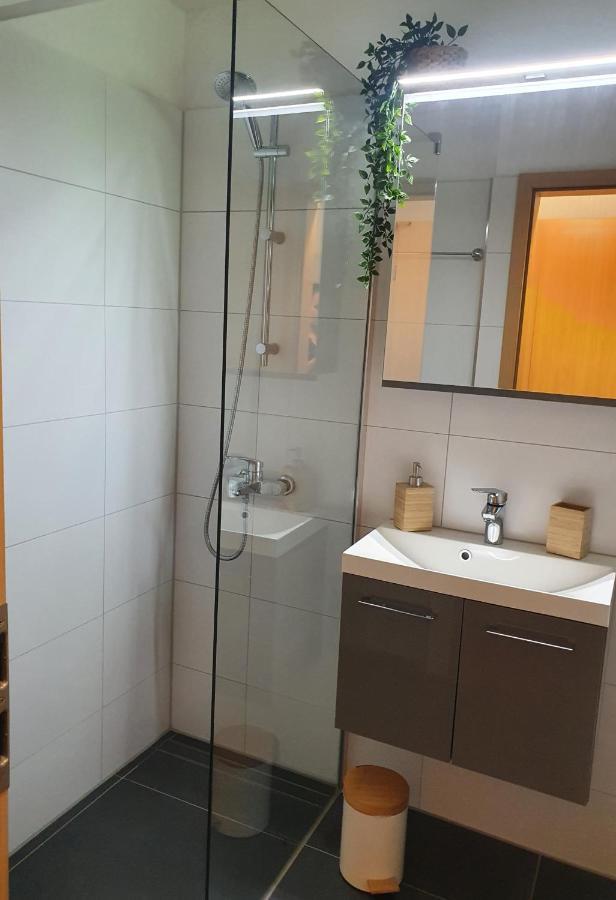 Modernisierte Ferienwohnung Naturseelen Mit Schwimmbad Und Sauna Braunlage Exteriör bild