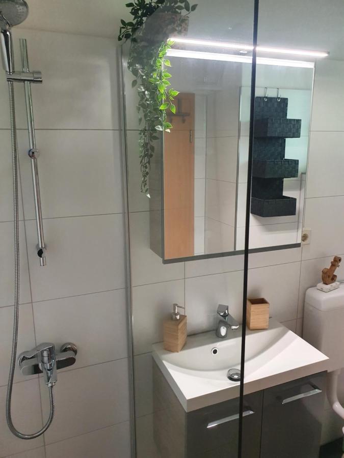 Modernisierte Ferienwohnung Naturseelen Mit Schwimmbad Und Sauna Braunlage Exteriör bild