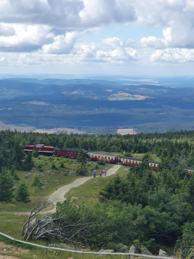 Modernisierte Ferienwohnung Naturseelen Mit Schwimmbad Und Sauna Braunlage Exteriör bild