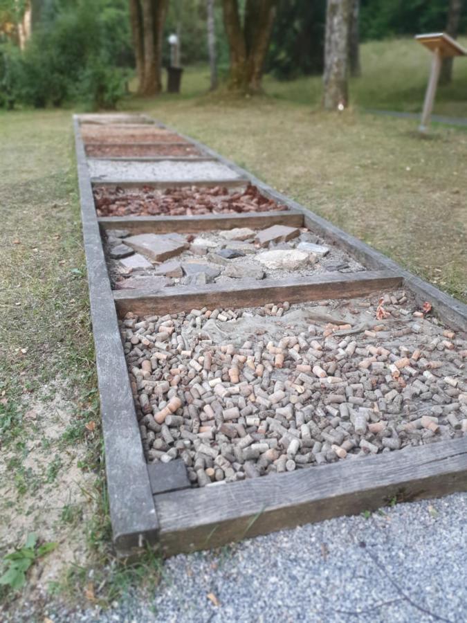 Modernisierte Ferienwohnung Naturseelen Mit Schwimmbad Und Sauna Braunlage Exteriör bild