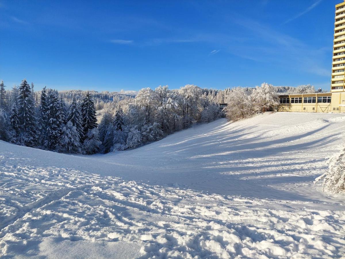 Modernisierte Ferienwohnung Naturseelen Mit Schwimmbad Und Sauna Braunlage Exteriör bild