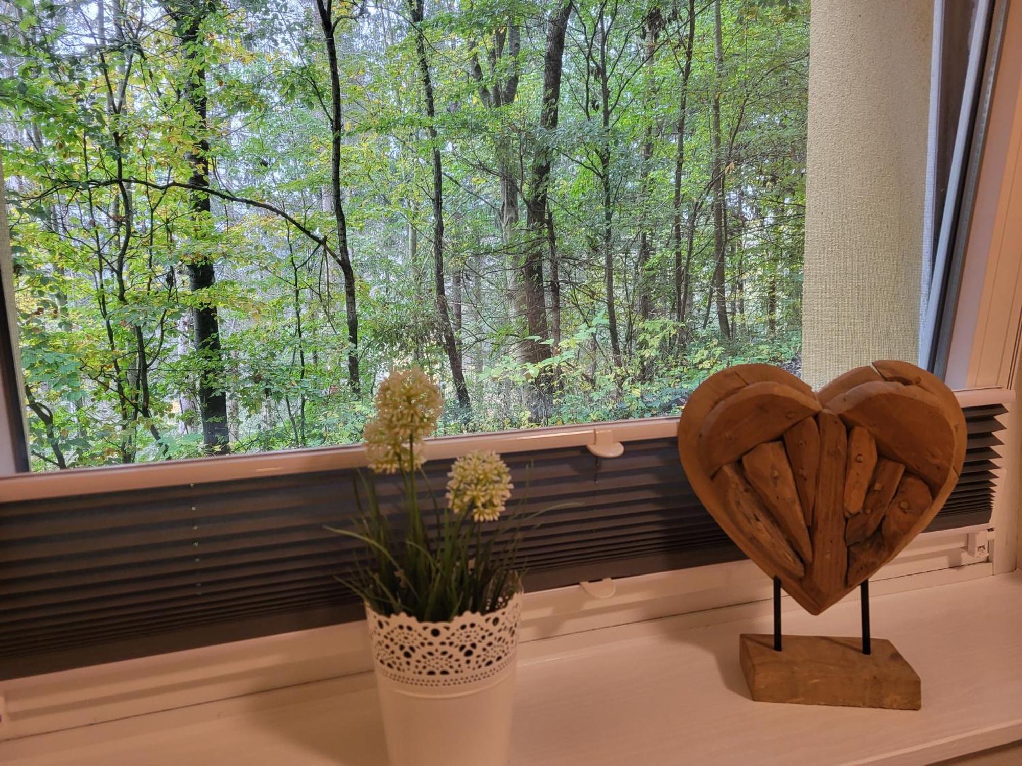 Modernisierte Ferienwohnung Naturseelen Mit Schwimmbad Und Sauna Braunlage Exteriör bild
